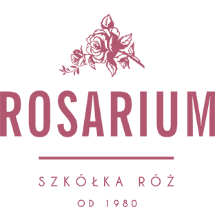 Rosarium - Szkółka Róż